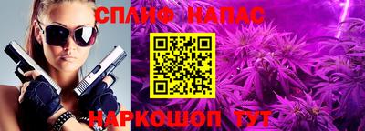 тгк Канаш
