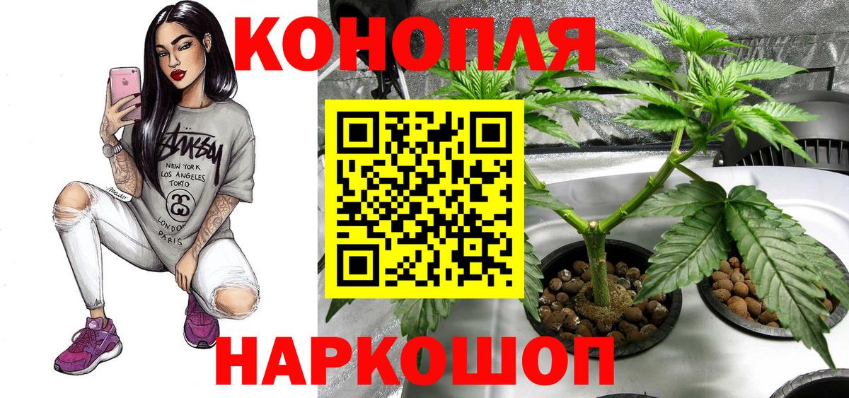 Шишки марихуана семена Майкоп